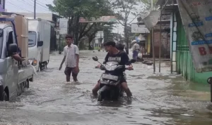 Bahaya Menerobos Banjir dengan Motor